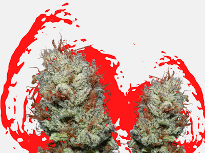 Photo of Cupcake's Cannabis