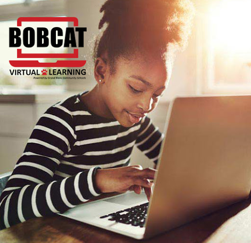 Bobcat Virtual Learning - Visual