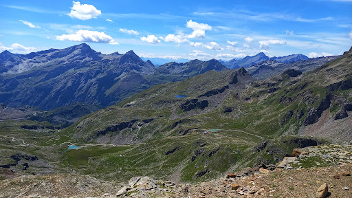 Stolemberg - Visual