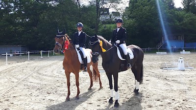 Photos of Siegerl&auml;nder Kleinpferdefreunde