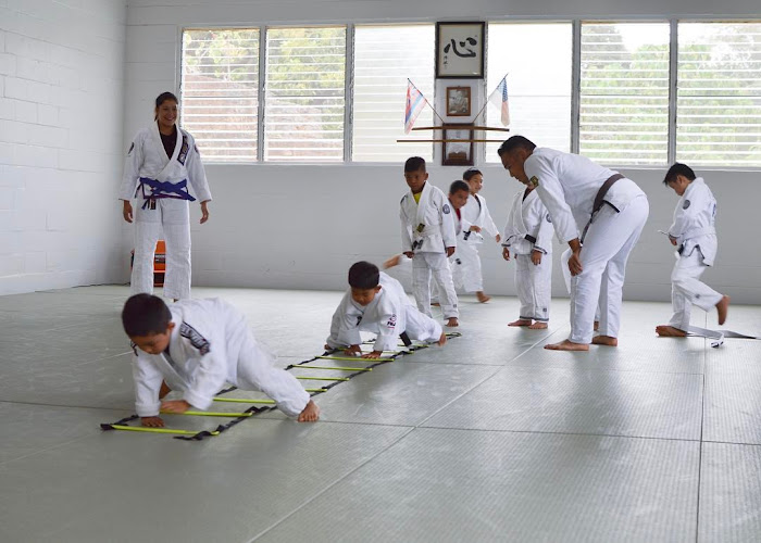 Esaki Jiu-Jitsu Academy - mixed martial arts in Lihue, Hawaii