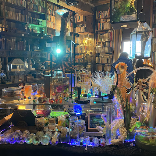 Galerie des Curiosités Larraincy - Thumbnail