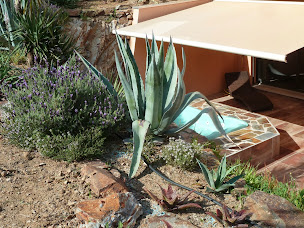 Photo n°6 de Villa Estrella - Lloguer vacacional à Collioure (Villa)