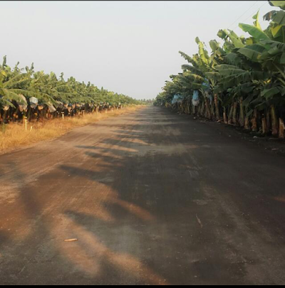 Photos of Finca Las Vegas, Tiquisate Escuintla.