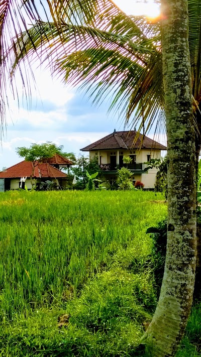 Photos of Yoga Homestay
