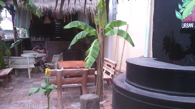 Photos of Urban Jungle Hostel