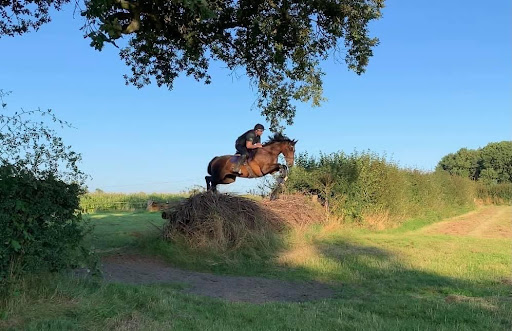 Steven Moseley Equine Dental Services - Thumbnail