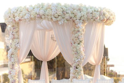 Photos of Valentino Flowers- Dubai Media City branch