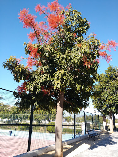 Parque Butibamba - Visual