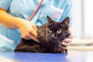 Photo n°9 de Clinique Vétérinaire Argos Saint-Erblon à Saint-Erblon (Vétérinaire)