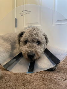 Photo of Riverbend Veterinary Care Todas