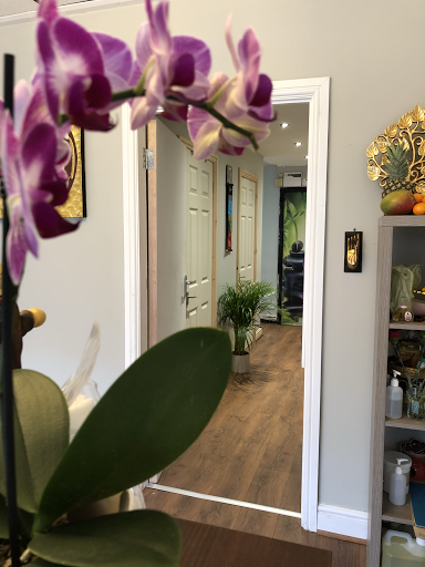 Po Thong Thai Massage Therapy