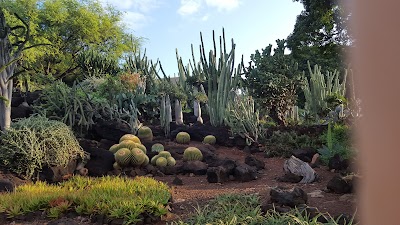 Kapiʻolani Community College