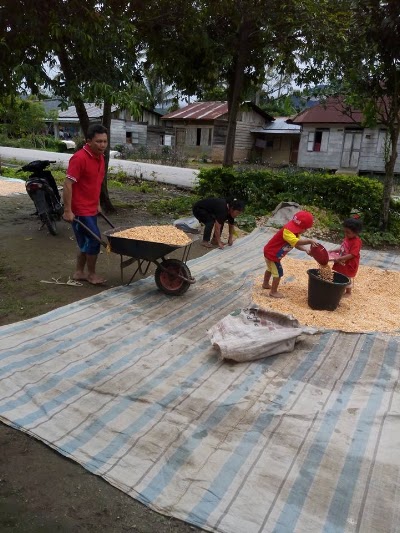 Photos of LAE PARIRA Tour & Travel