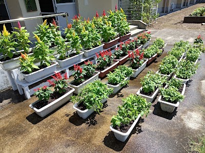 日置市日新地区公民館