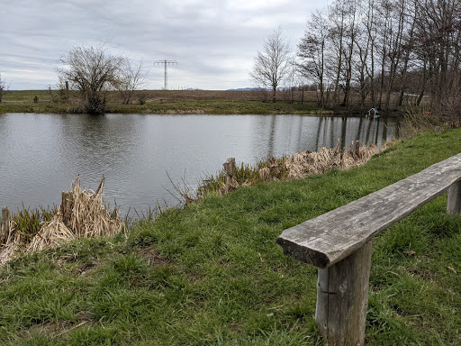 Kuhteich Hüttenrode