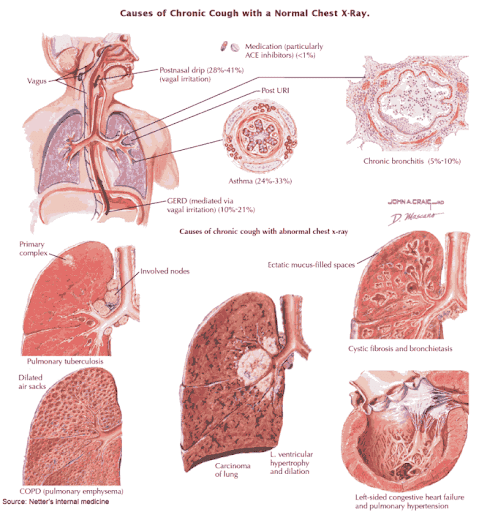 Discover the natural way to soothe your cough with Ayurveda! 🌱 post image