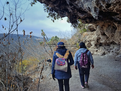 Texcalportal - Thumbnail