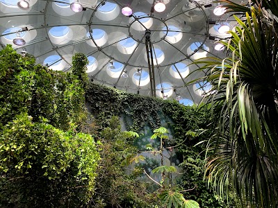 California Academy of Sciences