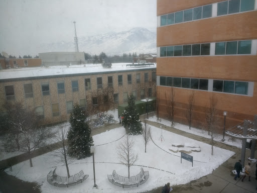 Mountain View Tower - Visual