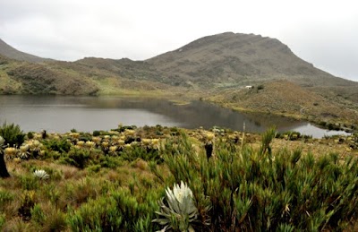 Photos of Paramo De Siscunci