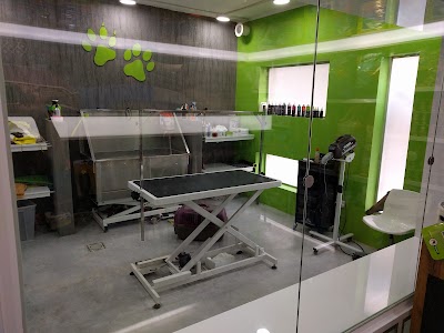 Vets for Pets Jordan