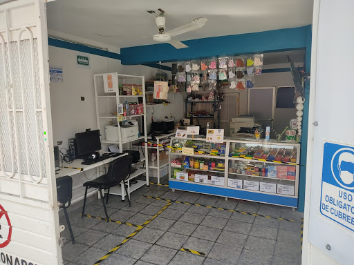 COPIART-E