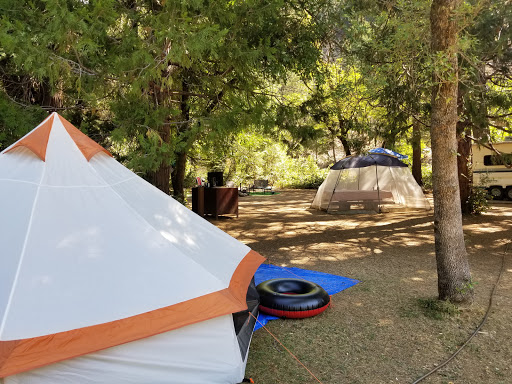 Gansner Bar Campground - Thumbnail