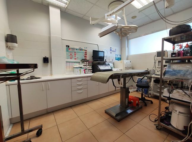 Clinica Veterinaria Aratz