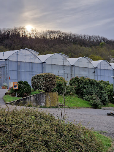 Tonneins Fazanis Agricultural Professional School