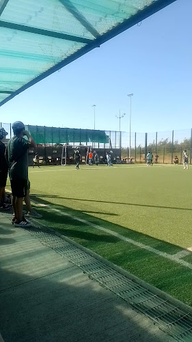 Opiniones de Cancha de fútbol junta de vecinos lomas de san sebastián en Concepción - Campo de fútbol