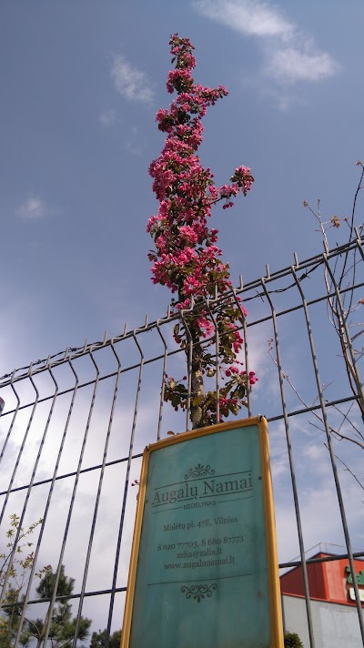 Photos of Nursery Garden