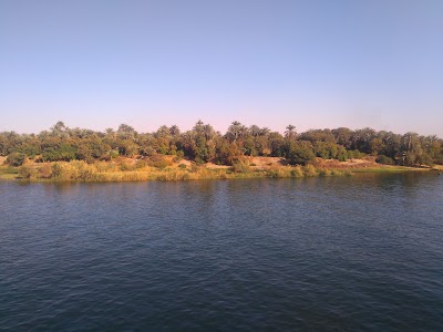 Photos of الجنينة والشباك