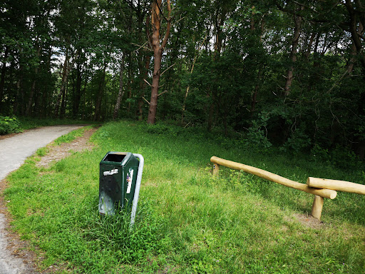 Veendam Borgerswold - Thumbnail