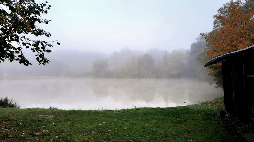 Ziegelweiher - Thumbnail