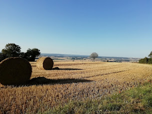 Photo n°13 de Le vol du Papillon à Treigny (Chambre d'hôtes)