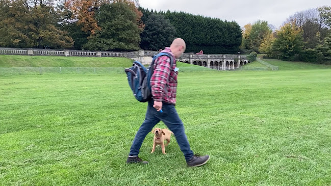 The Dog Guru.London Open Times