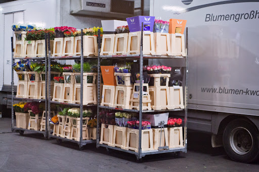 Kwoka Blumen Handels-GmbH - Thumbnail