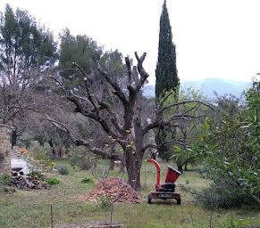 Photo n°2 de Gérard Mussier à Le Castellet (Service d'élagage)