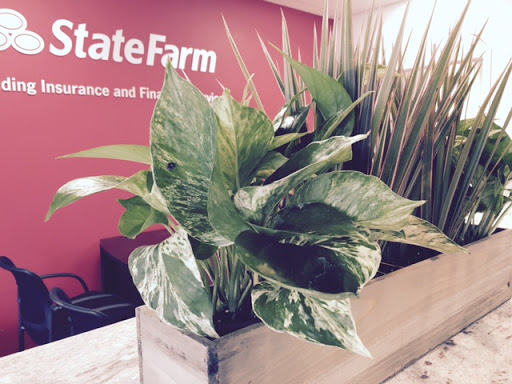 Mike OMalley - State Farm Insurance Agent