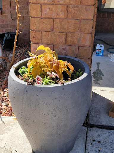 Stamm Romero & Associates