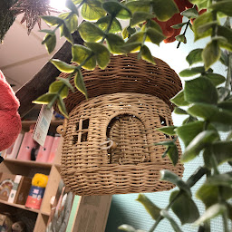 Photo n°19 de La Folle Adresse à Boulogne - sur - mer à Boulogne-sur-Mer (Boutique de cadeaux)