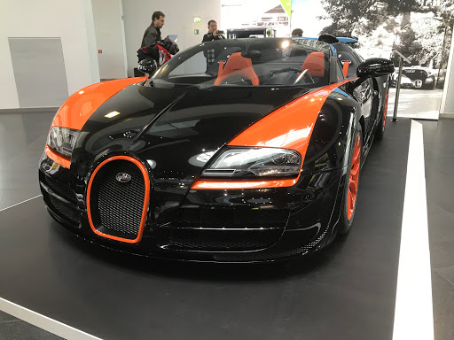Auto-Seiler - Visual