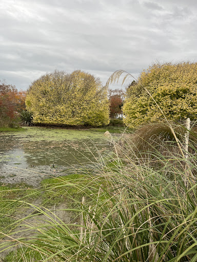 Sanctuary Ponds Reserve - Thumbnail