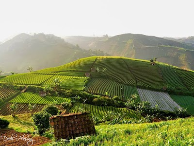 Photos of Gunung Argapura