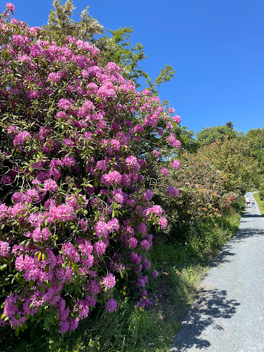 Darts Hill Garden Park - Thumbnail