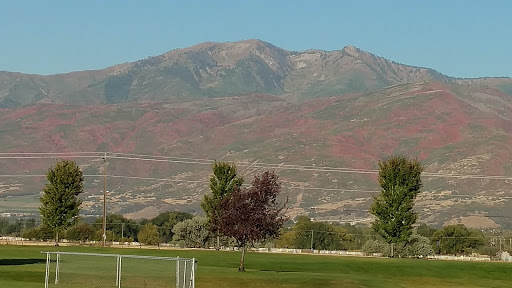 Utah WinterCross - Visual