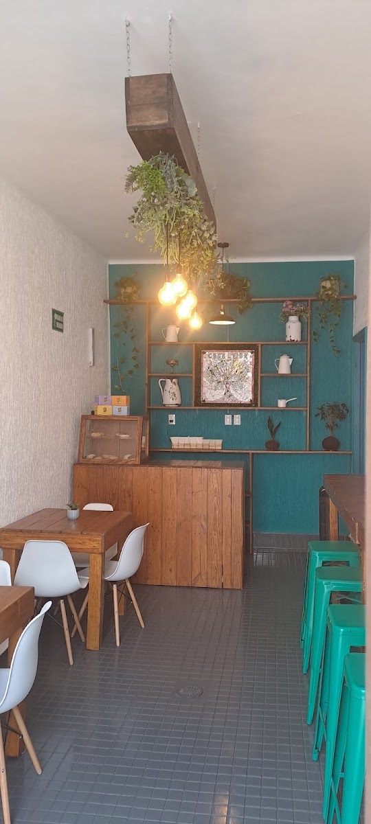 Casa Ceiba — photo 3