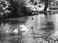 Harrison Park edinburgh