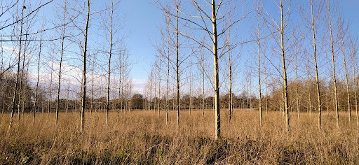 Parc forêt de Rospez